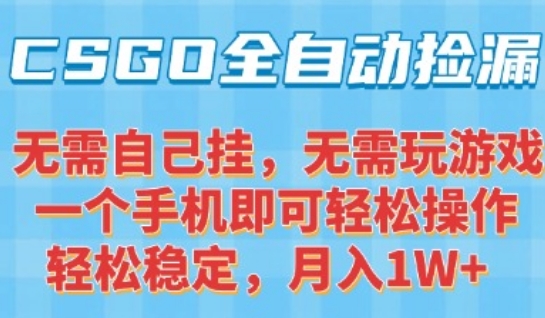 CSGO自动捡漏项目，最新独家玩法，一个手机可操作，新手小白轻松月入1W+，操作简单易上手【揭秘】白米粥资源网-汇集全网副业资源白米粥资源网