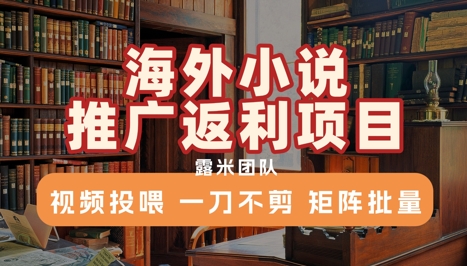海外小说推广返利项目，视频投喂， 一刀不剪，矩阵批量白米粥资源网-汇集全网副业资源白米粥资源网