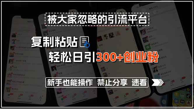 （15428期）被大家忽略的引流平台，复制粘贴轻松日引300+创业粉，新手也能操作，禁…白米粥资源网-汇集全网副业资源白米粥资源网