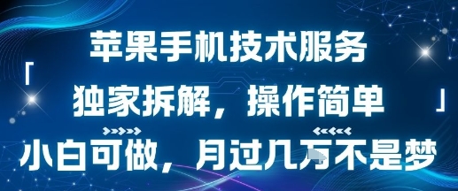 苹果手机技术服务，独家拆解，操作简单，小白可做，月过1W不是梦白米粥资源网-汇集全网副业资源白米粥资源网