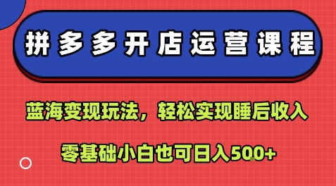 拼多多开店运营课程：蓝海变现玩法，轻松实现睡后收入，零基础小白也可日入5张白米粥资源网-汇集全网副业资源白米粥资源网
