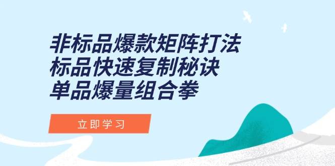 （15068期）非标品爆款矩阵打法，标品快速复制秘诀，单品爆量组合拳白米粥资源网-汇集全网副业资源白米粥资源网
