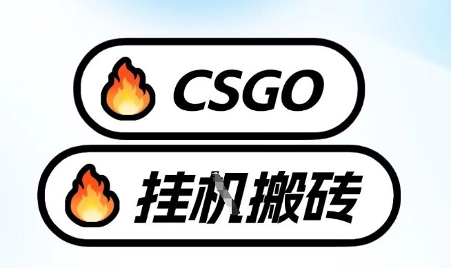 真全网独家CSGO挂G，最新玩法,单日捡漏1K+，不用电脑，不用打游戏【揭秘】白米粥资源网-汇集全网副业资源白米粥资源网
