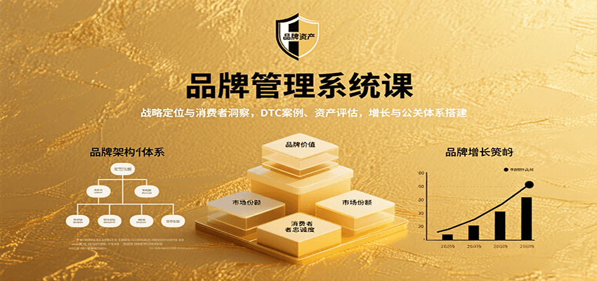 品牌管理系统课：战略定位与消费者洞察，DTC案例、资产评估，增长与公关体系搭建白米粥资源网-汇集全网副业资源白米粥资源网