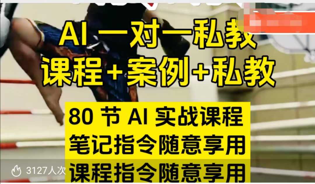 AI指令实战课，课程+案例，80节AI实战课程，笔记指令随意享用，课程指令随意享用（更新7月）白米粥资源网-汇集全网副业资源白米粥资源网