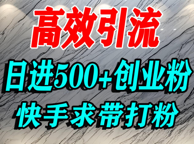 怎么打创业粉？快手求带视角精准引流创业粉，宝妈、学生群体日进500+精准流量白米粥资源网-汇集全网副业资源白米粥资源网