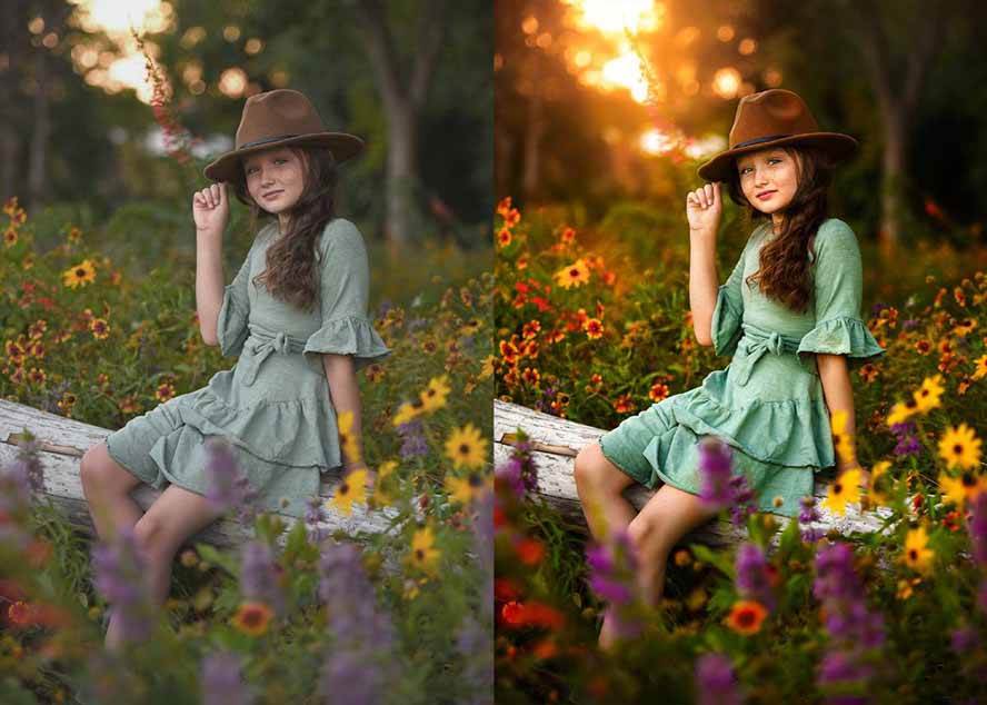 (17403期)大师级GTG出品-老友记系列AI自适应预设The Friends Preset Collection白米粥资源网-汇集全网副业资源白米粥资源网