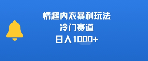 情趣内衣暴利玩法，冷门赛道，日入1k+白米粥资源网-汇集全网副业资源白米粥资源网