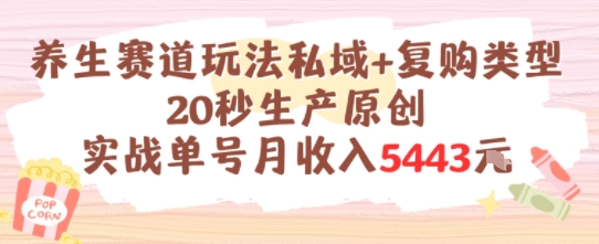 养生赛道玩法私域+复购类型，20秒生产原创实战单号月收入5k+白米粥资源网-汇集全网副业资源白米粥资源网