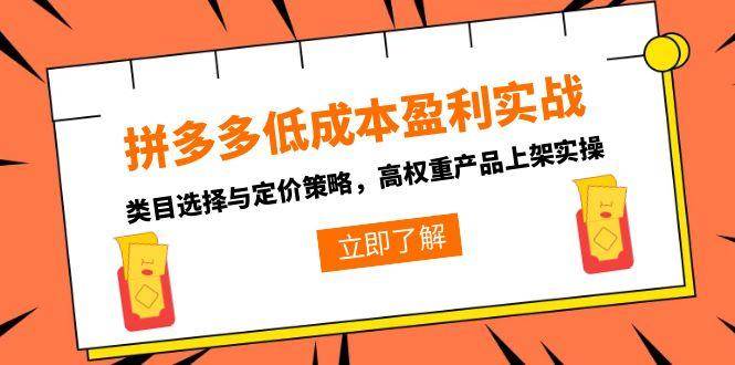 （15143期）拼多多低成本盈利实战，类目选择与定价策略，高权重产品上架实操白米粥资源网-汇集全网副业资源白米粥资源网