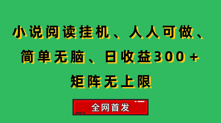 （15413期）小说挂机阅读，人人可做，简单无脑，一天收益300＋矩阵无限上白米粥资源网-汇集全网副业资源白米粥资源网