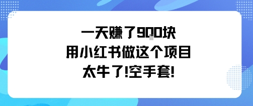 一天挣了9张用小红书做这个项目太牛了，空手套白米粥资源网-汇集全网副业资源白米粥资源网