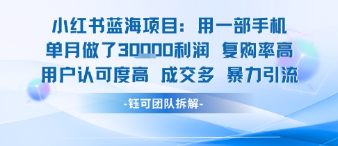 小红书蓝海项目，一部手机单月做了3W利润，小白也能月入过1W用户认可度高成交多白米粥资源网-汇集全网副业资源白米粥资源网