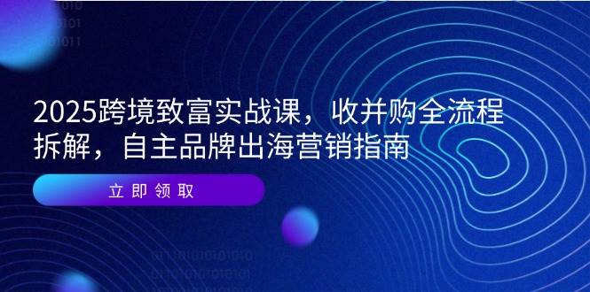 （14975期）2025跨境致富实战课，收并购全流程拆解，自主品牌出海营销指南白米粥资源网-汇集全网副业资源白米粥资源网