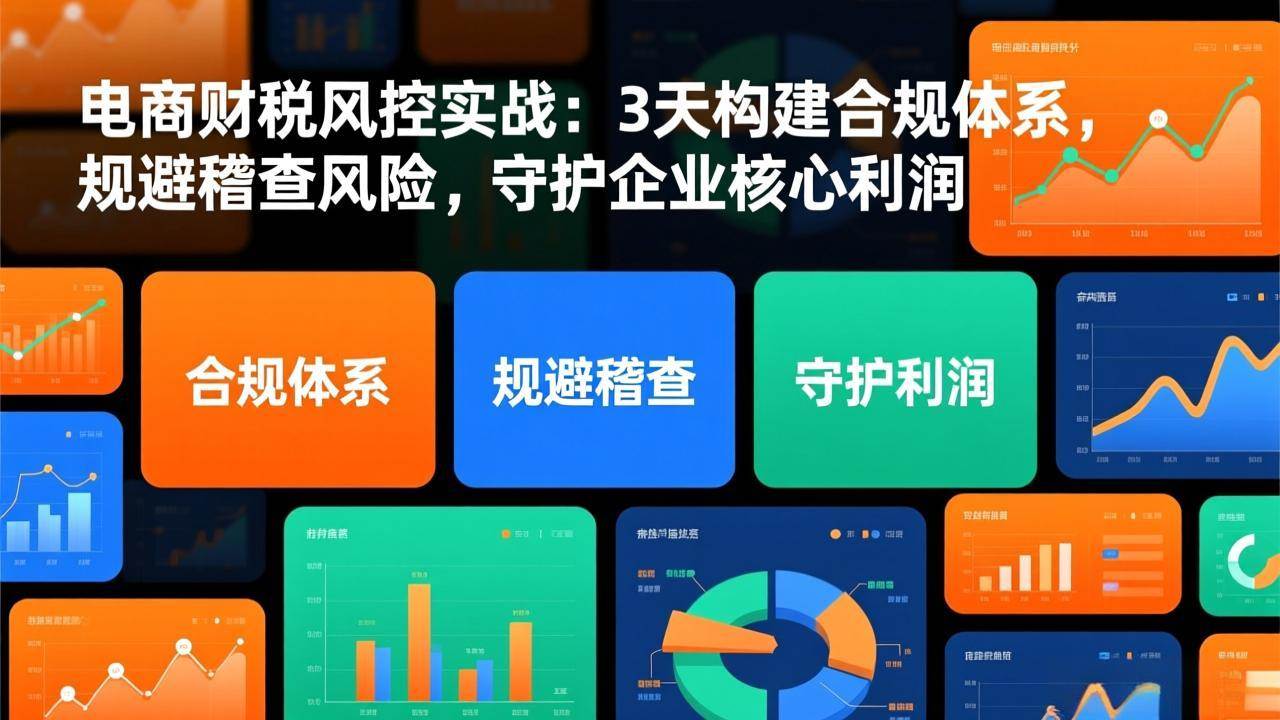 (17197期)电商财税风控实战:3天构建合规体系,规避稽查风险,守护企业核心利润 (17197期)电商财税风控实战:3天构建合规体系,规避稽查风险,守护企业核心利润