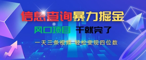 信息查询暴力掘金，一天三条视频，轻松变现四位数，风口项目干就完了【揭秘】白米粥资源网-汇集全网副业资源白米粥资源网