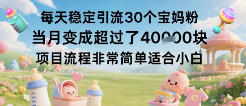 每天稳定引流30个宝妈粉当月变成超过了1W+项目流程非常简单适合小白白米粥资源网-汇集全网副业资源白米粥资源网
