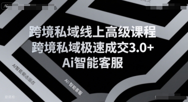 跨境私域线上高级课程，跨境私域极速成交3.0+Ai智能客服白米粥资源网-汇集全网副业资源白米粥资源网