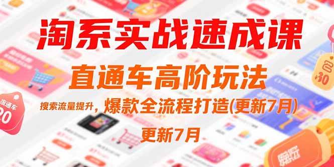 （15374期）淘系实战速成课，直通车高阶玩法，搜索流量提升，爆款全流程打造(更新7月)白米粥资源网-汇集全网副业资源白米粥资源网