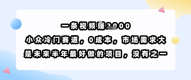 一条视频挣1k，小众冷门赛道，0成本，市场需求大，是未来半年最好做的项目，没有之一白米粥资源网-汇集全网副业资源白米粥资源网