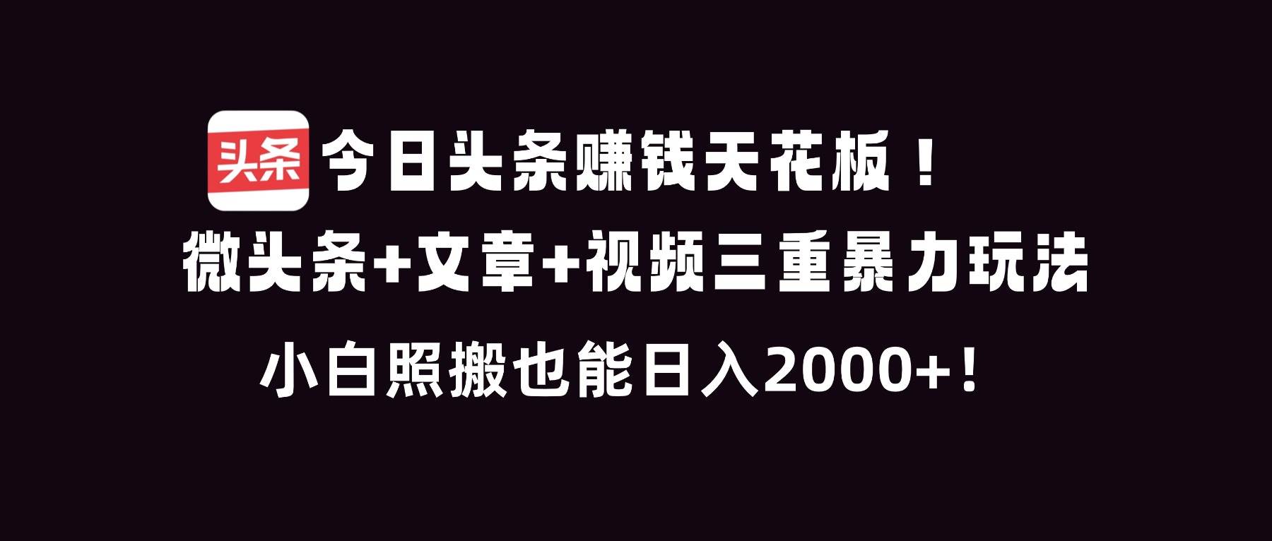 （16888期）今日头条赚钱天花板！微头条+文章+视频三重暴利玩法，小白照搬也能日人2000+白米粥资源网-汇集全网副业资源白米粥资源网