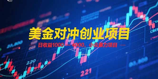 （15187期）美金对冲创业项目，日收益 1000 – 4000，小众暴力项目白米粥资源网-汇集全网副业资源白米粥资源网