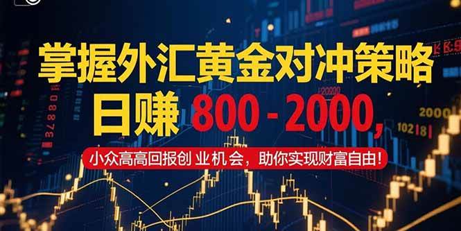 （15198期）掌握外汇黄金对冲策略，日赚 800 – 2000，小众高回报创业机会，助你实…白米粥资源网-汇集全网副业资源白米粥资源网
