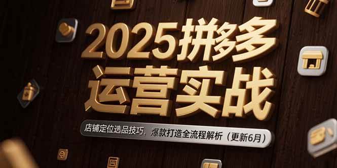 （15235期）2025拼多多运营实战：店铺定位选品技巧，爆款打造全流程解析（更新6月）白米粥资源网-汇集全网副业资源白米粥资源网
