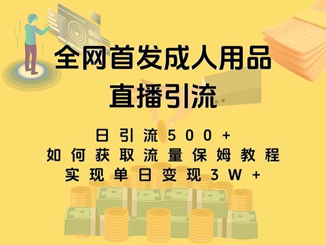 最新全网独创首发，成人用品直播引流获客暴力玩法，单日变现3w保姆级教程白米粥资源网-汇集全网副业资源白米粥资源网