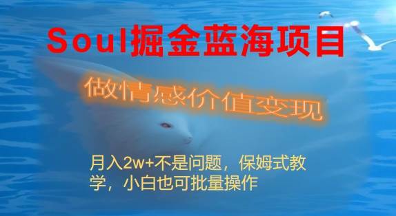 Soul掘金蓝海项目细分赛道，做情感价值变现，月入2w 不是问题白米粥资源网-汇集全网副业资源白米粥资源网