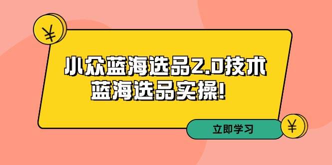 拼多多培训第33期：小众蓝海选品2.0技术-蓝海选品实操！白米粥资源网-汇集全网副业资源白米粥资源网