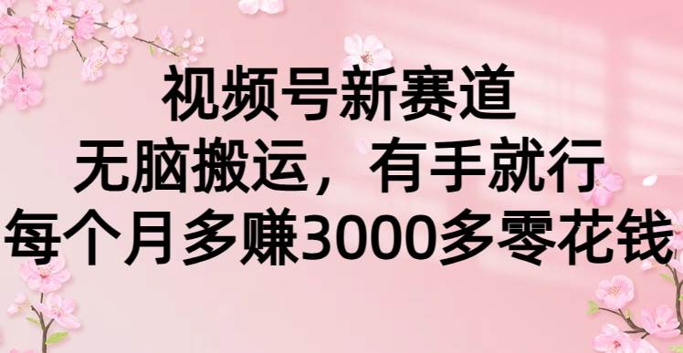 视频号新赛道，无脑搬运，有手就行，每个月多赚3000多零花钱白米粥资源网-汇集全网副业资源白米粥资源网