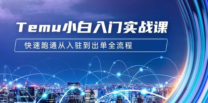 Temu小白入门实战课：跨境拼多多电商培训 快速跑通从入驻到出单全流程-12节白米粥资源网-汇集全网副业资源白米粥资源网